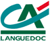 Primary Logo