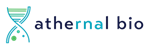 Primary Logo