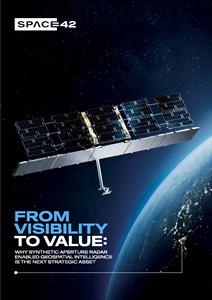From Data to Decisions: Governments Can Save Billions with AI-driven Satellite Insights