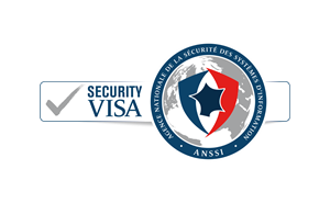 Security Visa