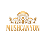 Primary Logo