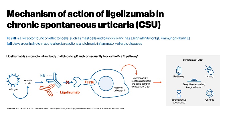 Mechanism of action of ligelizumab in chronic spontaneous urticaria (CSU)